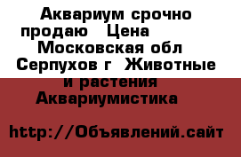  Аквариум срочно продаю › Цена ­ 2 500 - Московская обл., Серпухов г. Животные и растения » Аквариумистика   